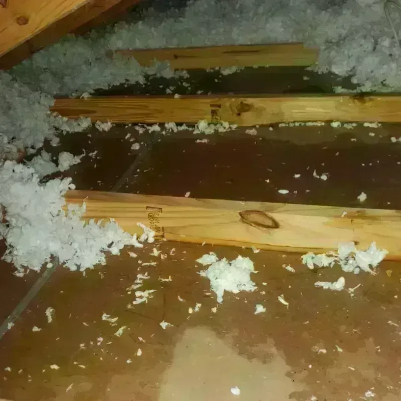 Attic Water Damage in Wellington, CO